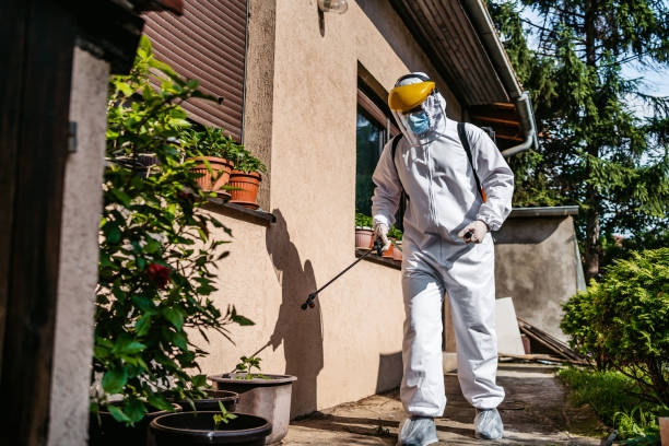 Best Spider Control Near Me  in Bedford, OH
