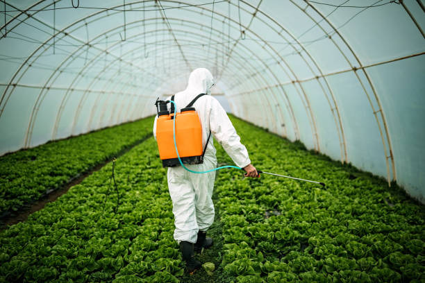 Best Pest Inspection Near Me  in Bedford, OH