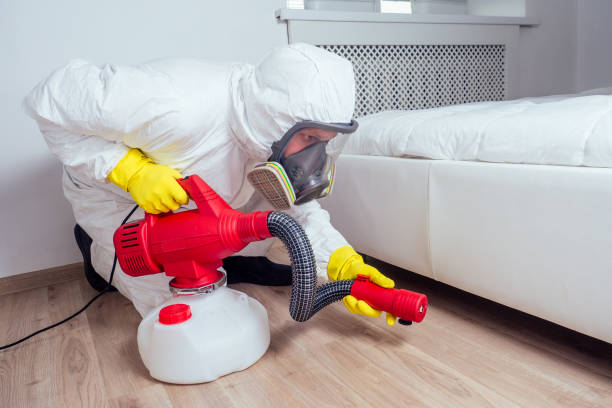 Reliable Bedford, OH Pest Control Solutions