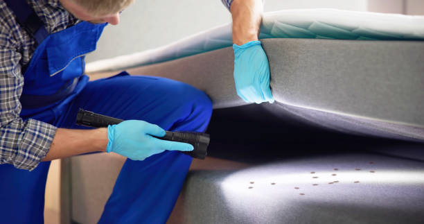 Best Bed Bug Extermination  in Bedford, OH