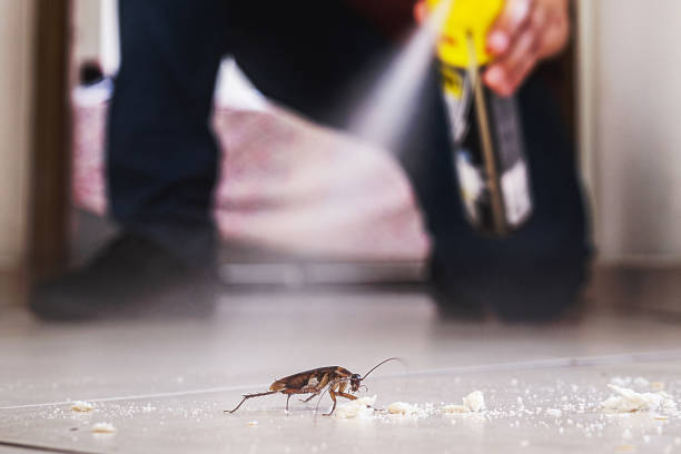 Best Mosquito Control Services  in Bedford, OH