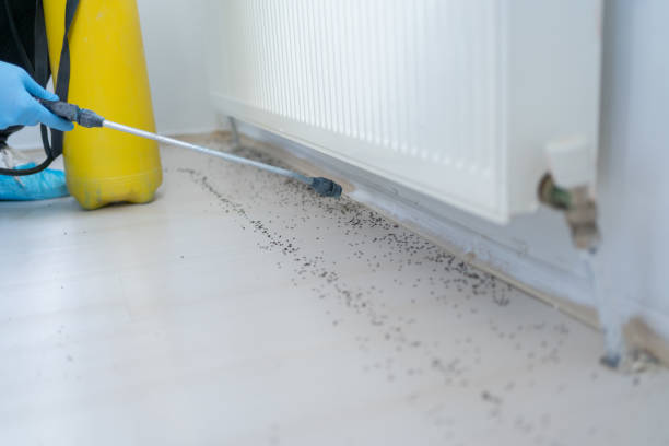 Best Exterminator Services  in Bedford, OH